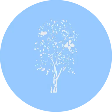 Magnolia Collection Logo