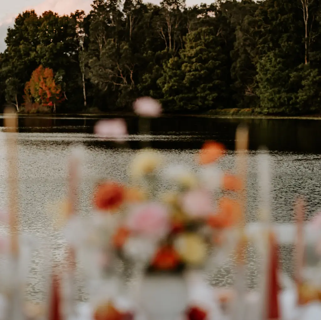First transition image